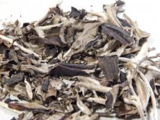 White Buds Gushu (Weißtee von alten Bäumen)